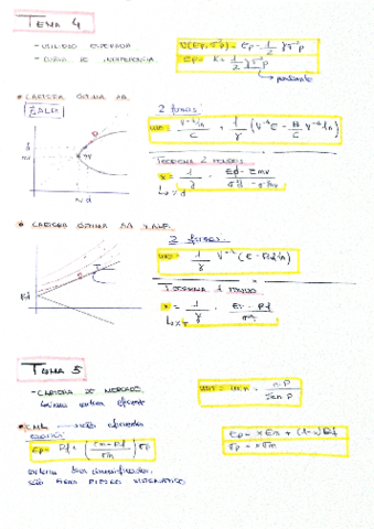 Tema-4-y-5-formulas.pdf