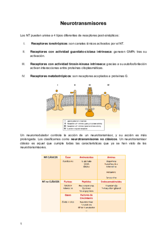 Neurotransmisores-1.pdf
