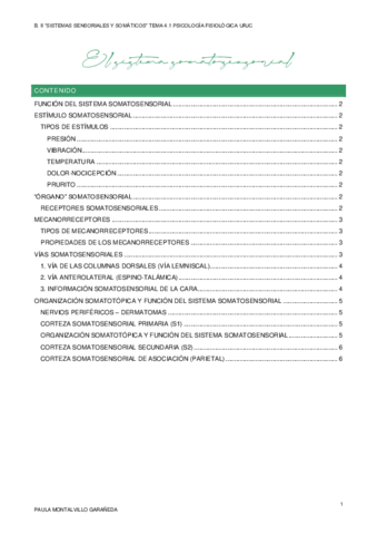 TEMA-4.pdf