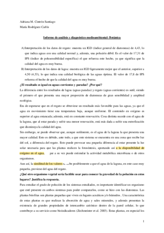 Informe-Practicas-ADM-Botanica.pdf