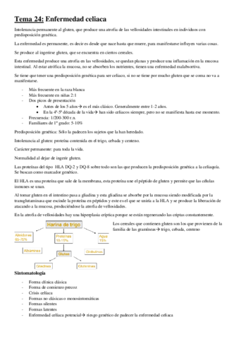 Tema-24.pdf