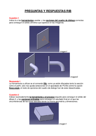 Respuestas-Rib1.pdf