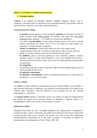 TEMA-7.pdf