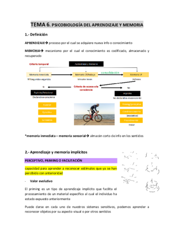 TEMA-6-Psicobiologia-del-aprendizaje-y-memoria.pdf