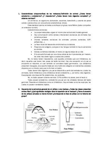 Examenes-Pinero.pdf