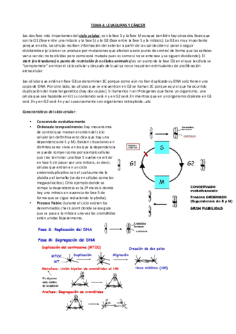Tema-4-Ampli-micro.pdf