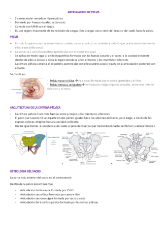 ARTICULACION-DE-PELVIS.pdf