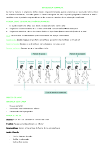 BIOMECANICA-DE-MARCHA.pdf