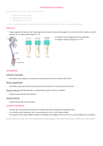 ARTICULACION-DE-LA-RODILLA.pdf