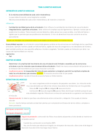 TEMA-5-LONGITUD-MUSCULAR.pdf