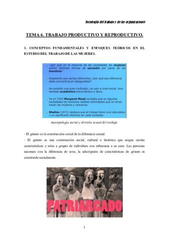 RESUMEN-TEMA-6-SOCIOLOGIA.pdf