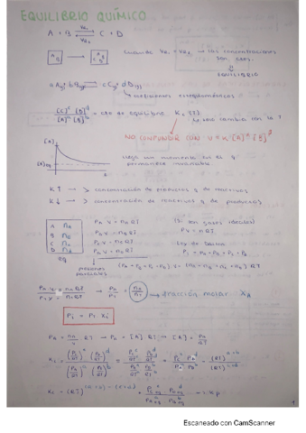 equilibrio-quimico.pdf