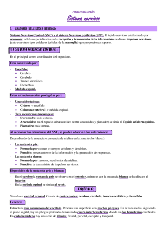 T10-SISTEMA-NERVIOSO.pdf