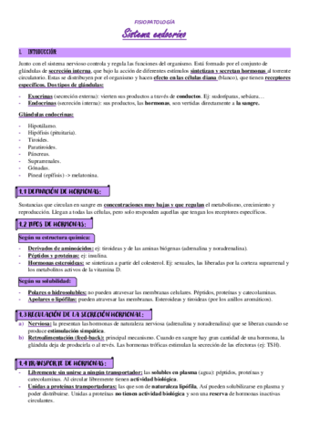 T11-SISTEMA-ENDOCRINO.pdf