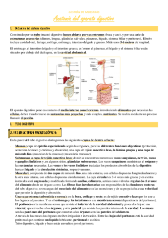 TEMA-5-ANATOMIA-DEL-APARATO-DIGESTIVO.pdf