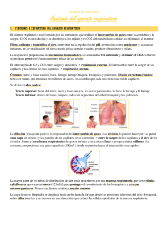 T6-Ap.pdf