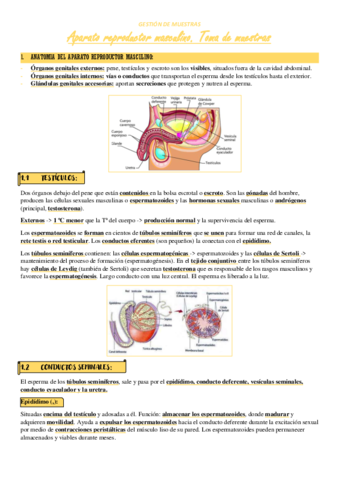 T7-Apreproductor-Masc.pdf