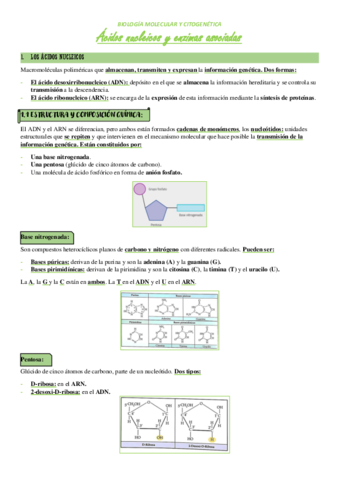 T2-ACIDOS-NUCLEICOS-Y-ENZIMAS-ASOCIADAS.pdf