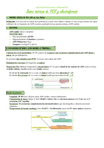 T7-PCR.pdf