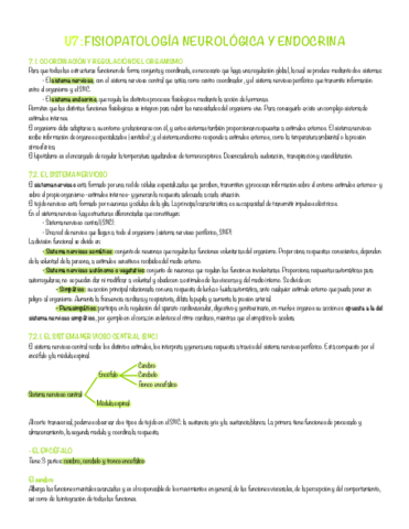 Fisiopatologia-Neurologica-Y-Endocrina-.pdf