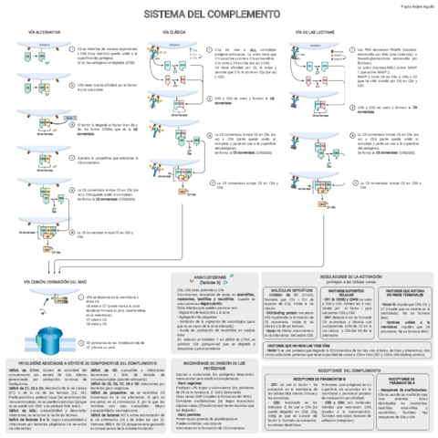 4-sistema-del-complemento.pdf