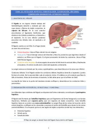 Tema-16-patologia-hepatica.pdf