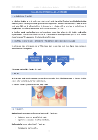 Tema-25-Tiroides.pdf