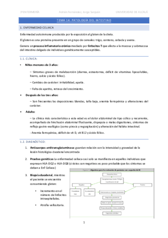 Tema-14-Patologia-del-Intestino.pdf
