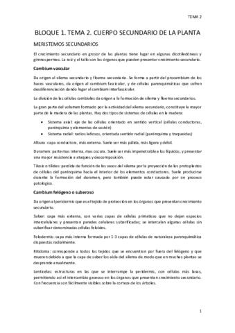 BLOQUE-1.pdf