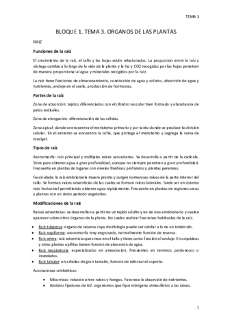 BLOQUE-1.pdf