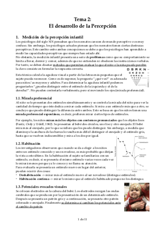 tema-2-DC.pdf