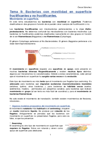 Tema-9-Micro-II.pdf