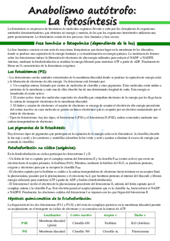 fotosintesis-2.pdf