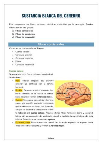 SUSTANCIA-BLANCA-DEL-CEREBRO.pdf