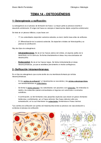TEMA-14-OSTEOGENESIS.pdf
