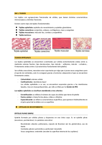 SM1-y-SM2-anatomia-patologica.pdf