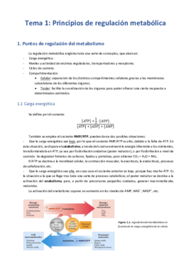 Tema 1 - Principios de regulación metabólica.pdf