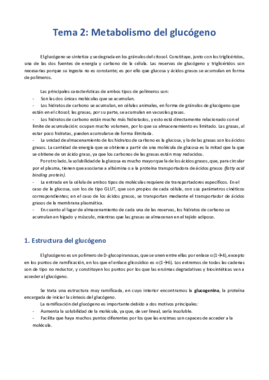 Tema 2 - Metabolismo del glucógeno.pdf