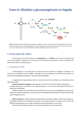 Tema 6 - Glicólisis y gluconeogénesis en hígado .pdf