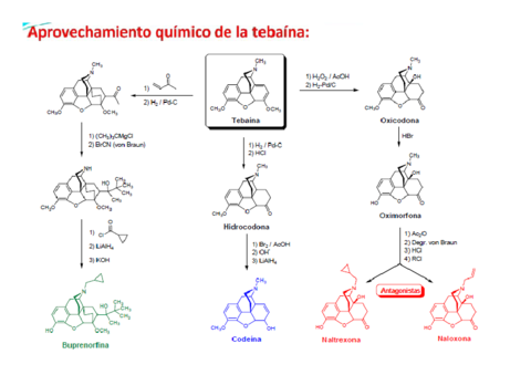 SINTESIS-1oPARCIAL-QFAR2.pdf