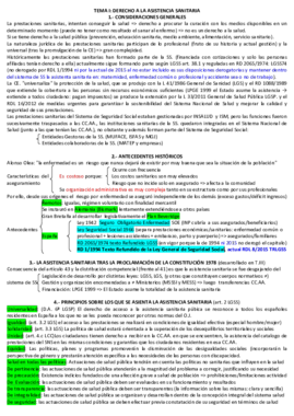 Capitulo II -Derecho a la Asistencia Sanitaria-esquemas de proteccion social Calatayud.pdf