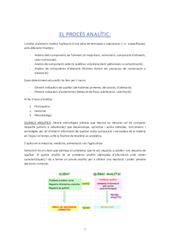 EL-PROCES-ANALITIC.pdf