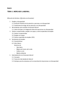 OPL3. MERCADO LABORAL.pdf