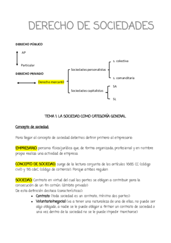 derecho-de-sociedades-copia.pdf