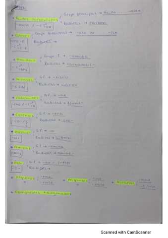 formulacion-organica.pdf