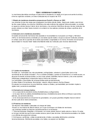 membrana.pdf