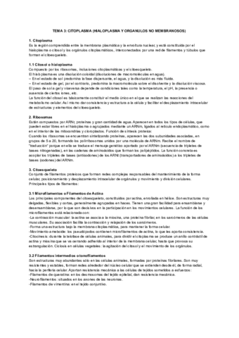 Citoplasma.pdf