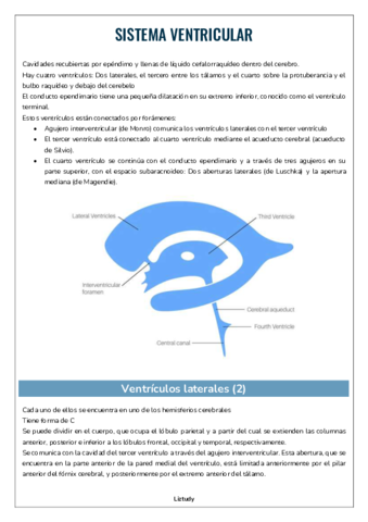 SISTEMA-VENTRICULAR.pdf