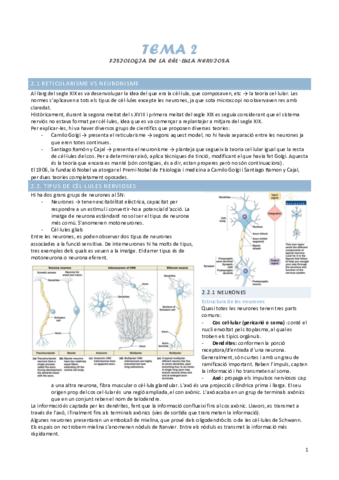 Tema-2-fisiologia-de-les-neurones.pdf
