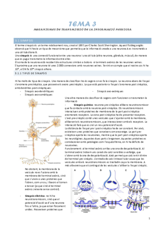 tema-3-mecanismes-de-transmissio-de-la-informacio-nerviosa.pdf